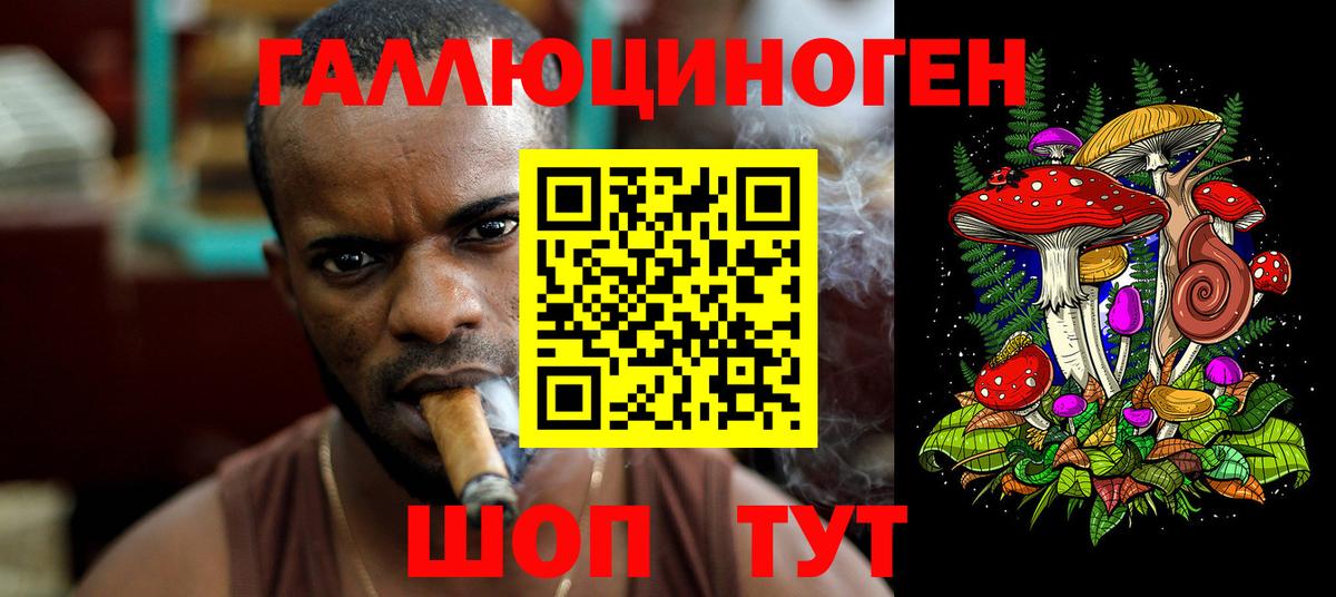 Псилоцибиновые грибы мицелий Березники